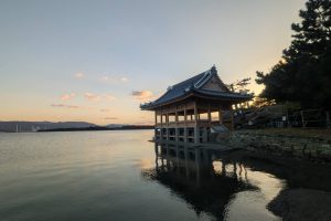 観海閣　復元工事｜福地建築｜和歌山の宮大工・文化財修理の専門家