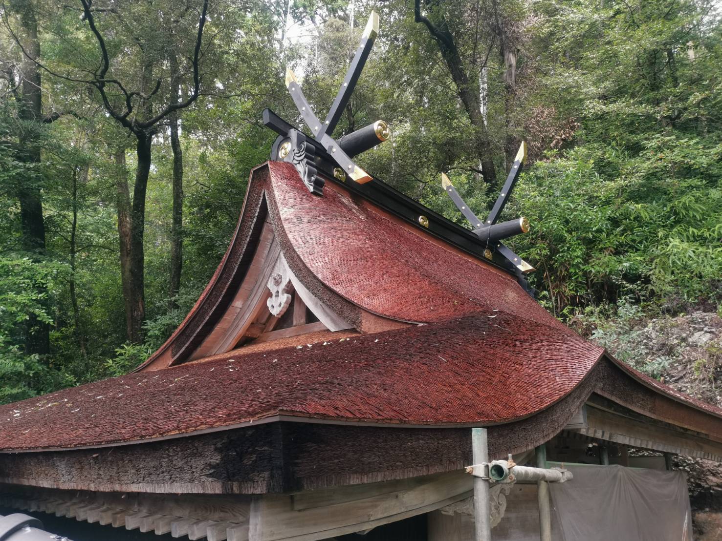 重要文化財　白岩丹生神社